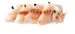 Featured image for “Лаврак”