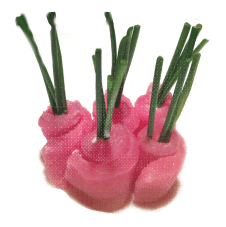 Featured image for “Тон”