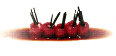 Featured image for “Юзо-трюфел сос и филаделфия”